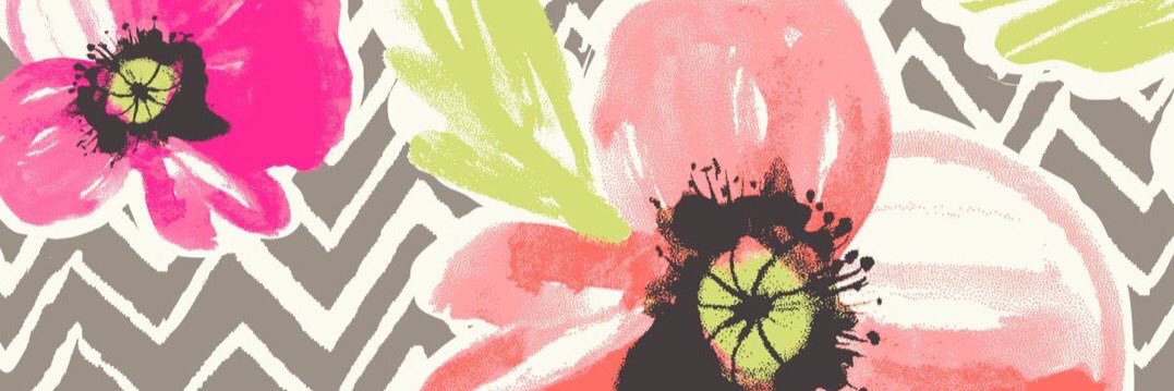 Vannie Astecat banner