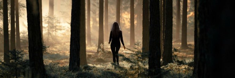 VioletCbooks's profile banner image