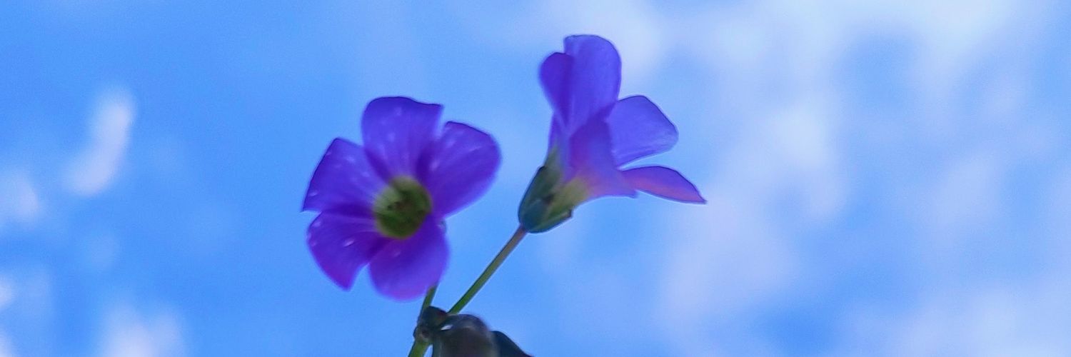 Jackelyn1602's profile banner image