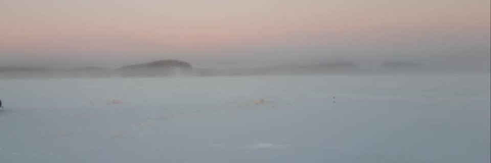 Outi Korpilähde banner