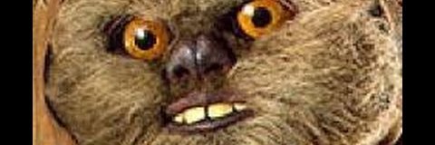 IsAShadow's profile banner image