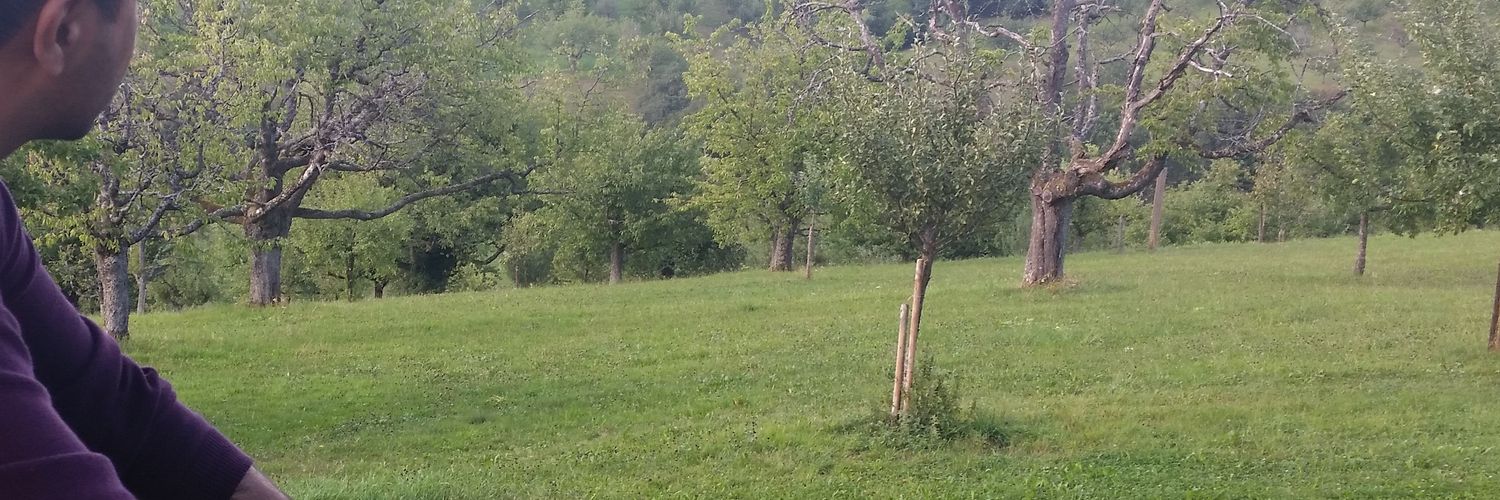 iTheBullRunner's profile banner image