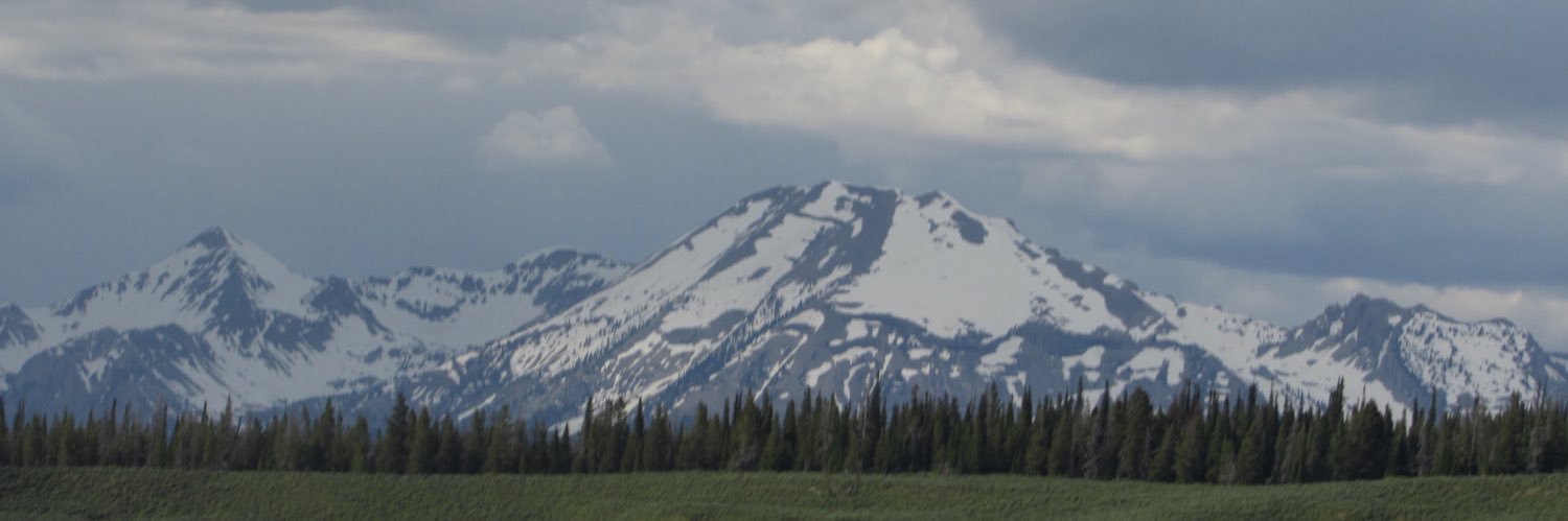 koldamadison's profile banner image