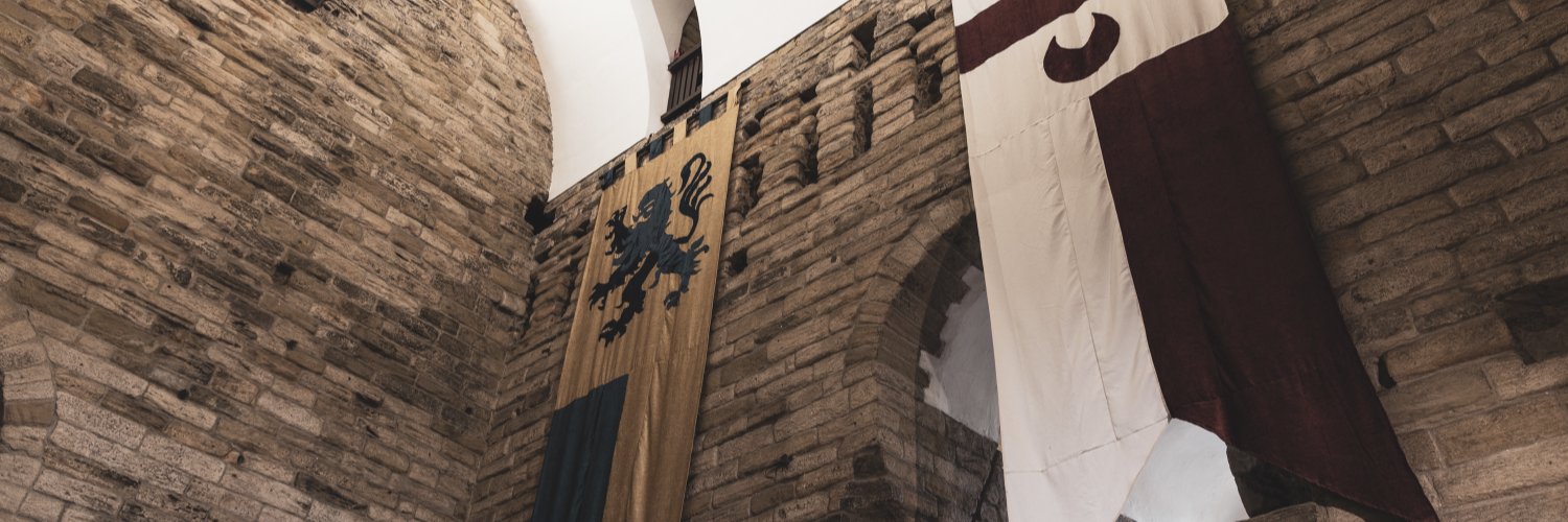 Newcastle Castle banner