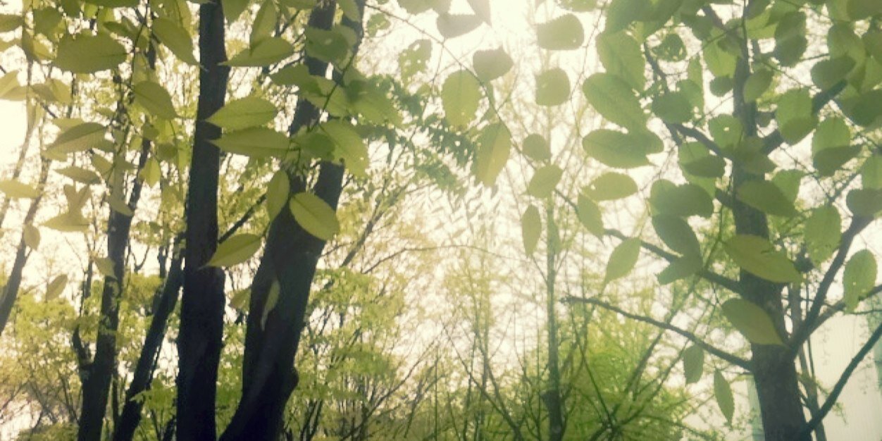 jji_we's profile banner image