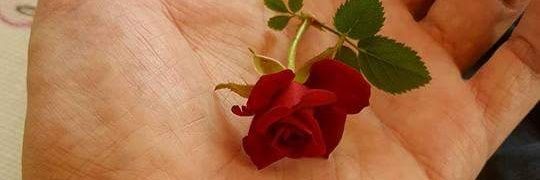 hamza_sid_pc's profile banner image