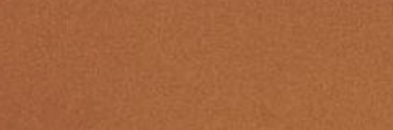 frizelli_'s profile banner image