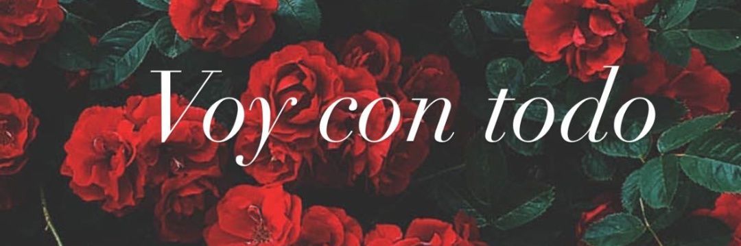 AriadnaRodS's profile banner image