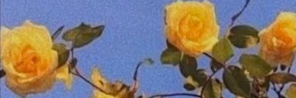 _brianawalter's profile banner image