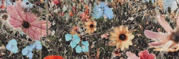 Evesuaarez's profile banner image