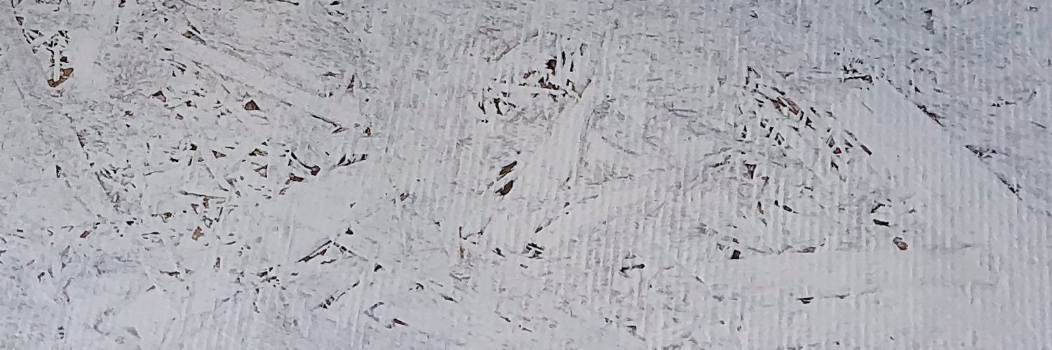 Jewsama's profile banner image