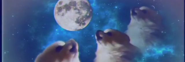 BanannaGreu's profile banner image