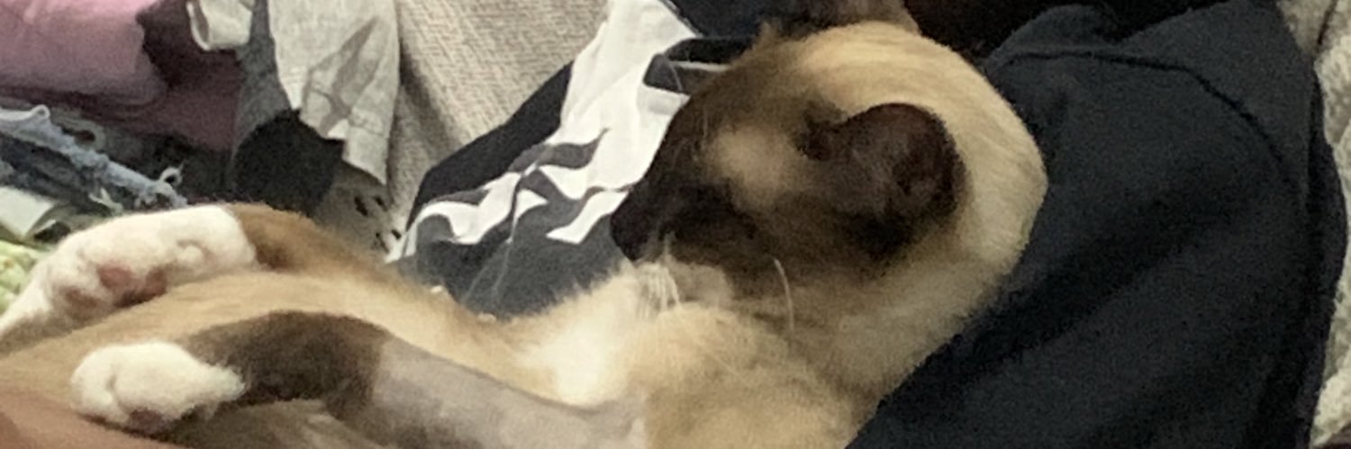endjoizando's profile banner image