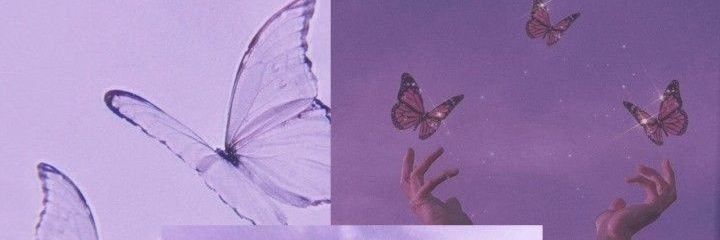 risaracks's profile banner image
