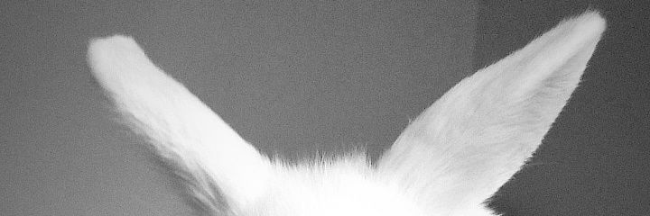 catizone_'s profile banner image