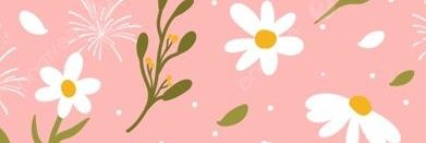 constanzafcase1's profile banner image