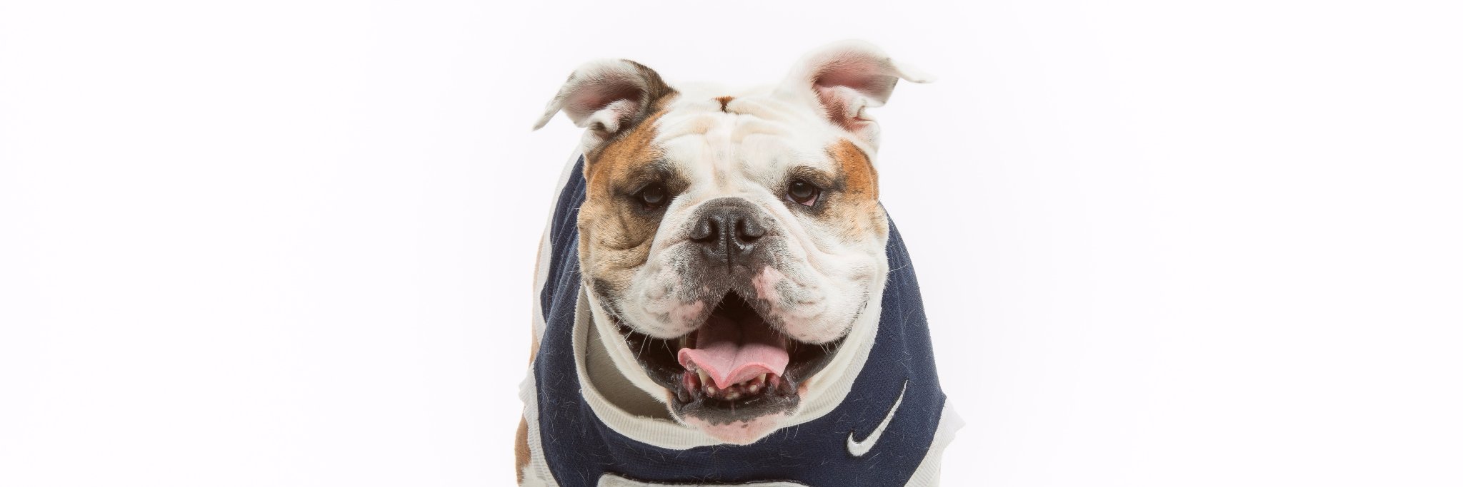 ButlerBookstore's profile banner image