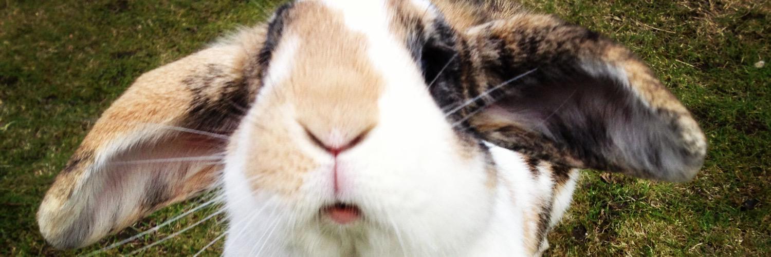 StephBigg5's profile banner image