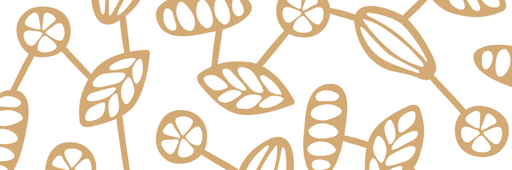CanopyBridgeC banner