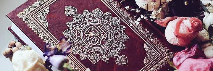 hadjer_farahh's profile banner image