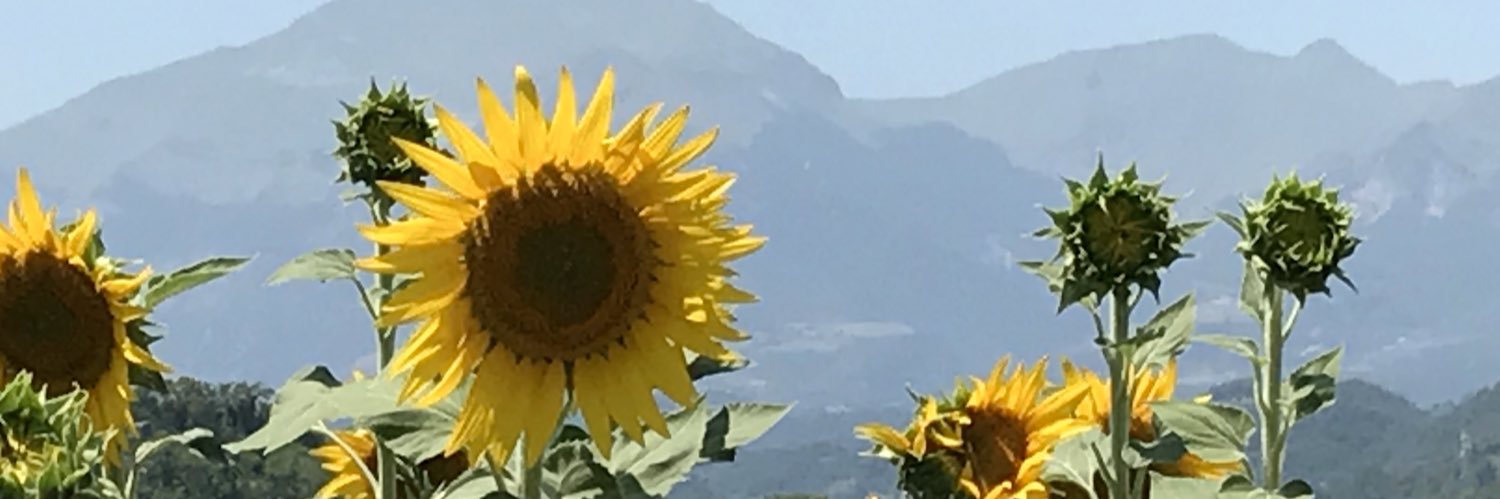 Charlotte Campbell banner