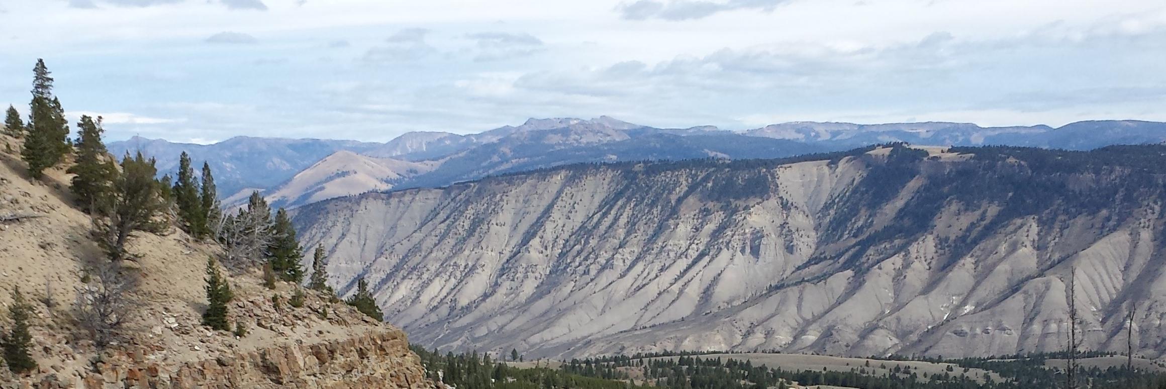 Andy Viano banner