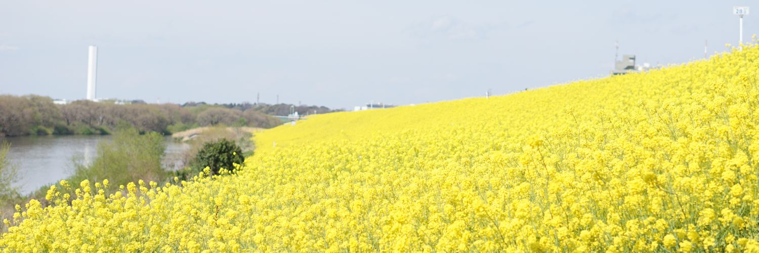 asashuabe's profile banner image
