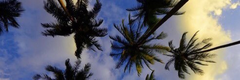 khxo___'s profile banner image