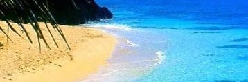 veronica_santan's profile banner image