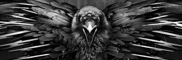 TheUnholyCrow's profile banner image