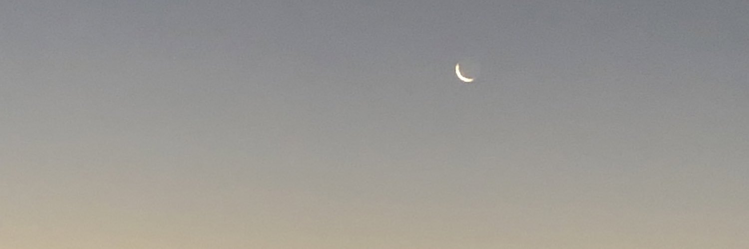 uminekoot's profile banner image