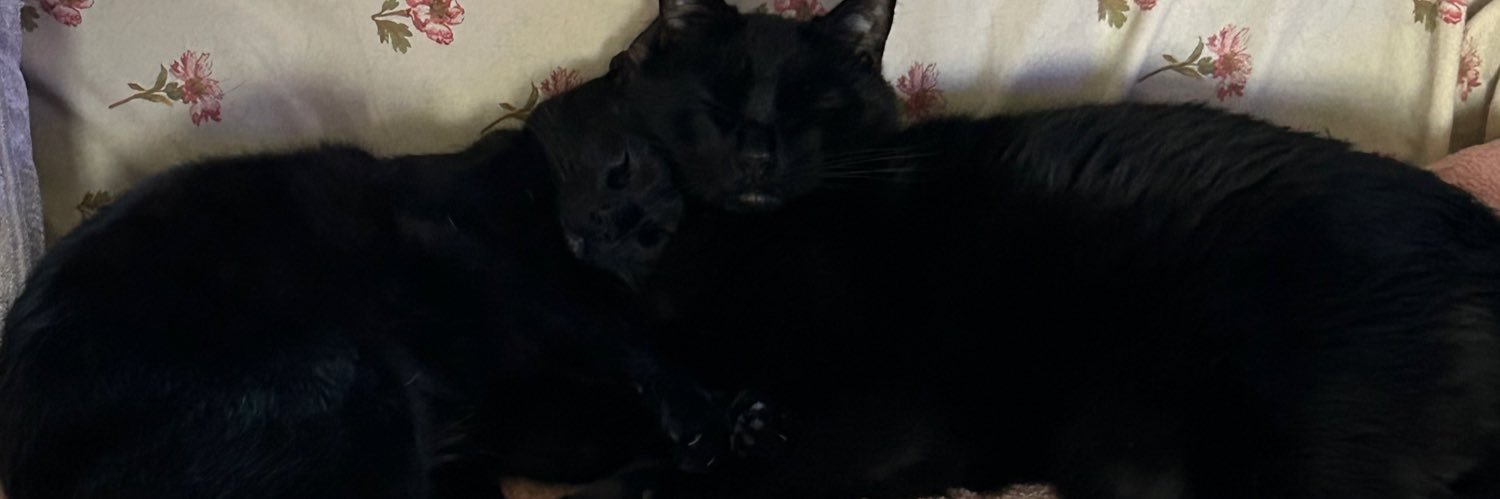 itsmady23's profile banner image