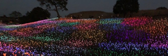 MattPahuta's profile banner image