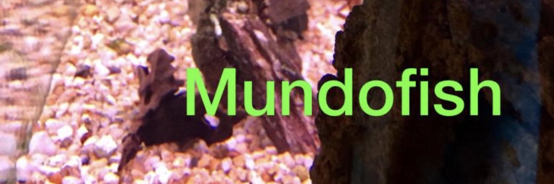 Mundofish Acuario (@mundo_fish) / Posts / X