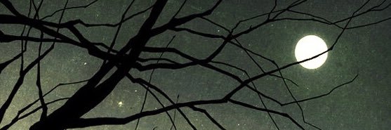 UnlovedPervert's profile banner image