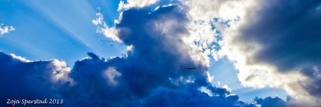 ZojaSperstad's profile banner image