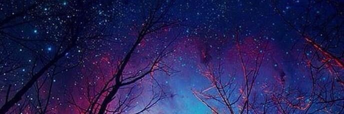 DannyD_SC's profile banner image
