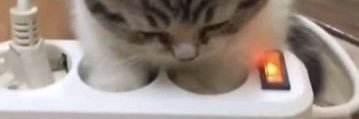 kosmikals's profile banner image