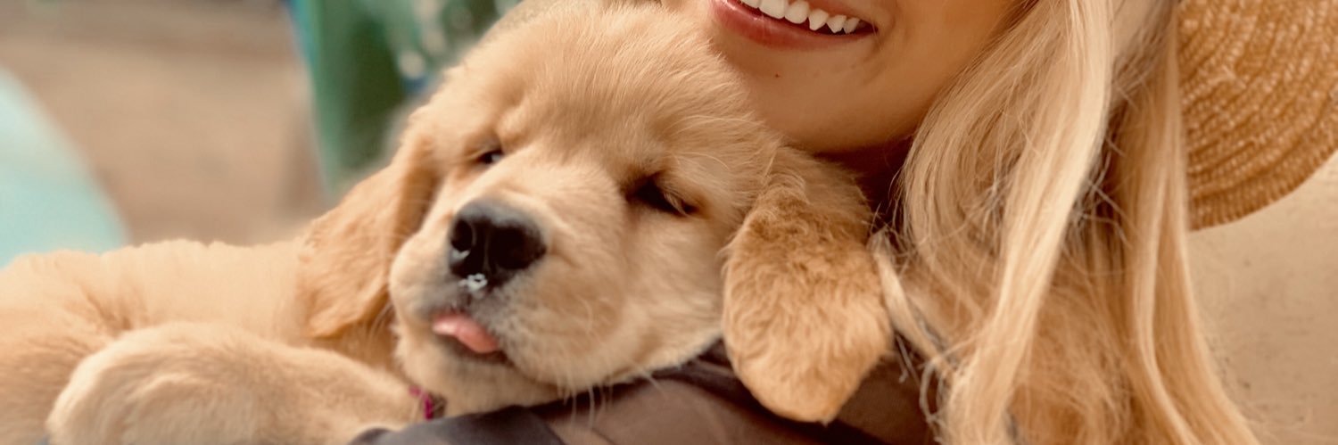 dadafreitass's profile banner image