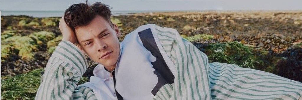 Harry Styles. banner