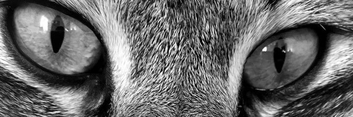 alperizzm's profile banner image