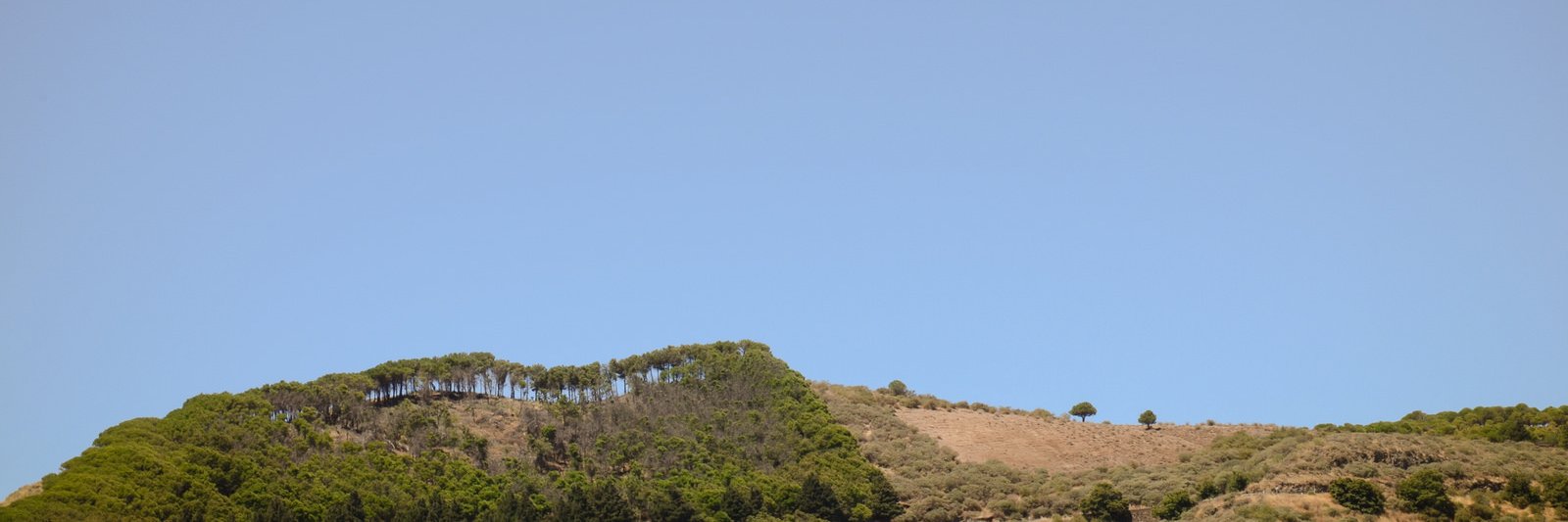 felipefzdz's profile banner image