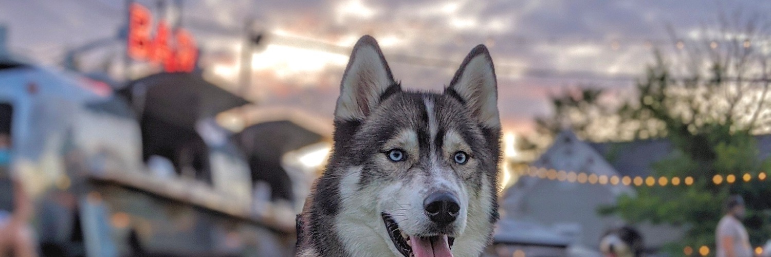 Fetch Park banner