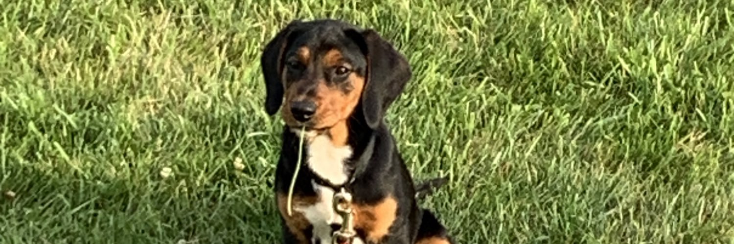 clark00__'s profile banner image