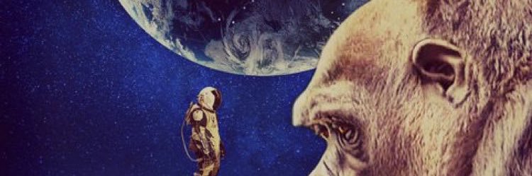 johnCapicchioni's profile banner image