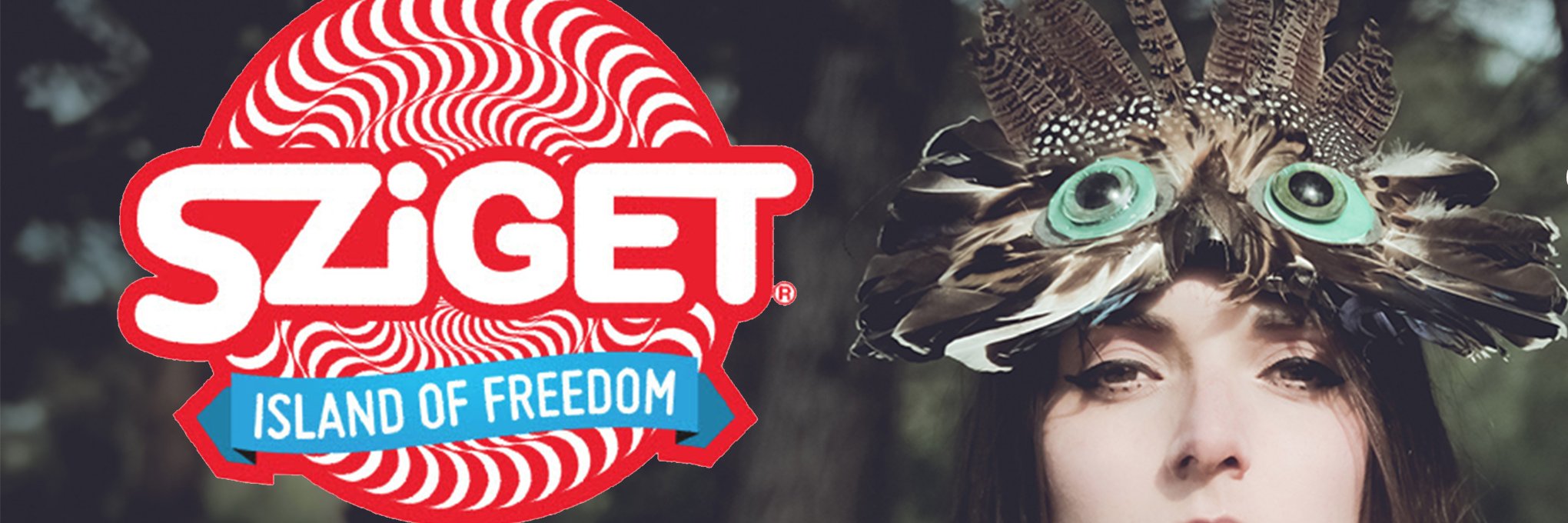 Sofia Brunetta banner