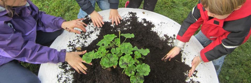 BusyMontessori's profile banner image