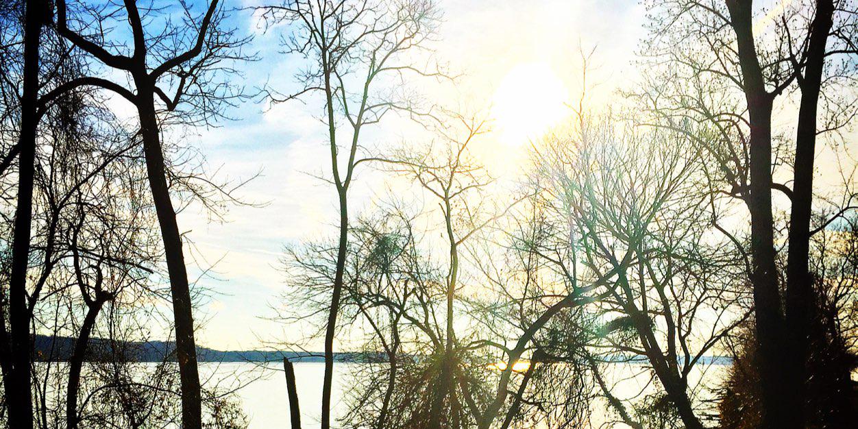 MISSDWESTPO's profile banner image
