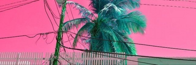 flexingonhoes's profile banner image