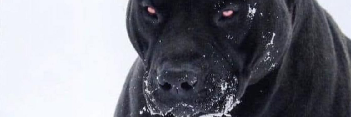 TheRealDstarrr's profile banner image